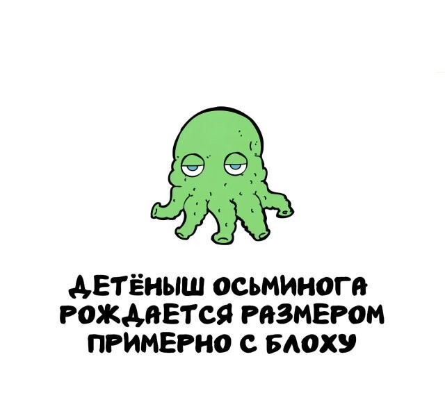 А вдруг ты не знал…