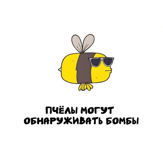 А вдруг ты не знал…