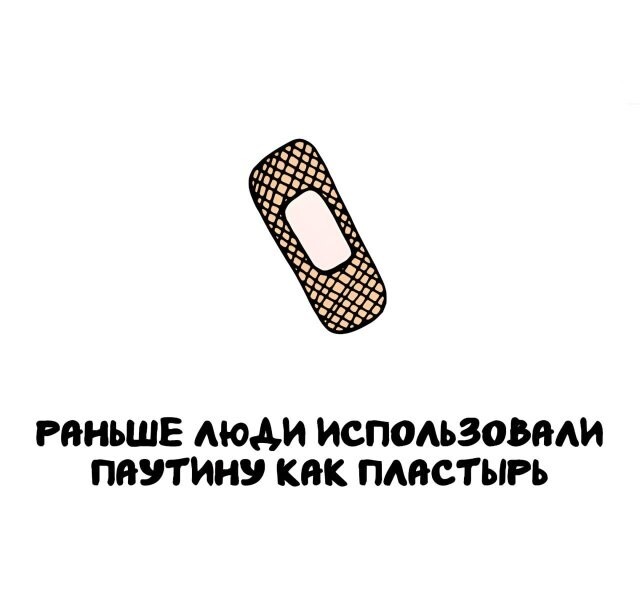 А вдруг ты не знал…