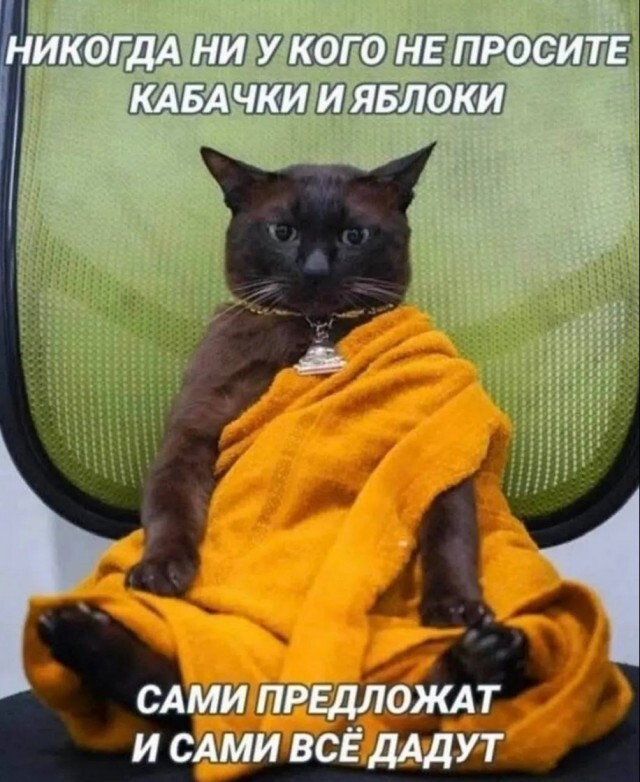 Не ищите здесь смысл. Здесь в основном маразм