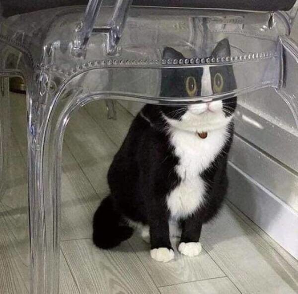 Всё вразнобой 