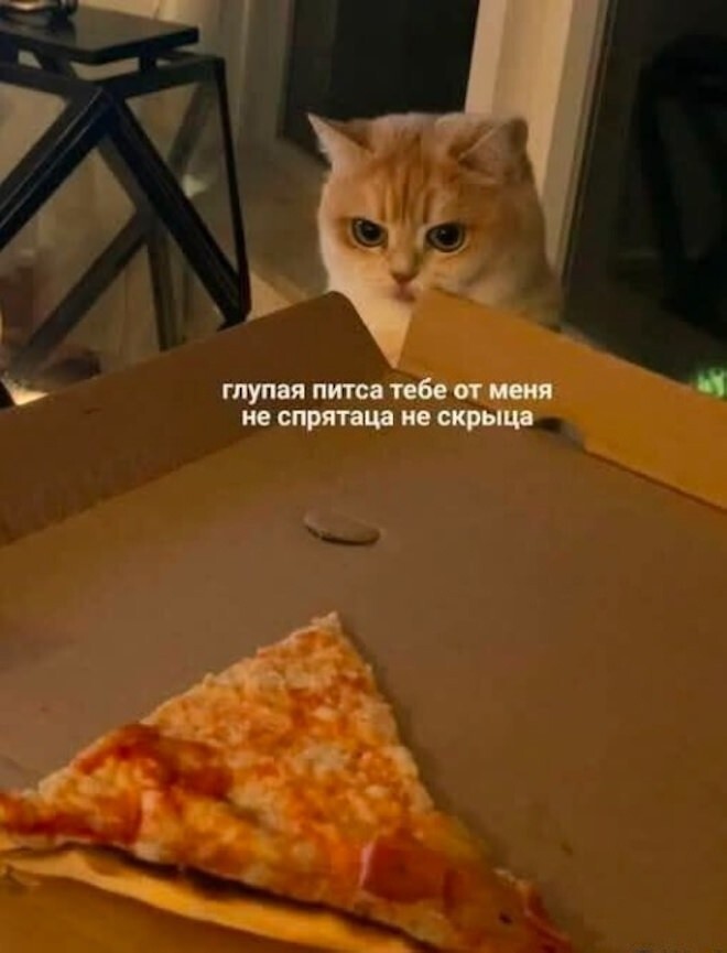 Продолжаем барражировать соцсети