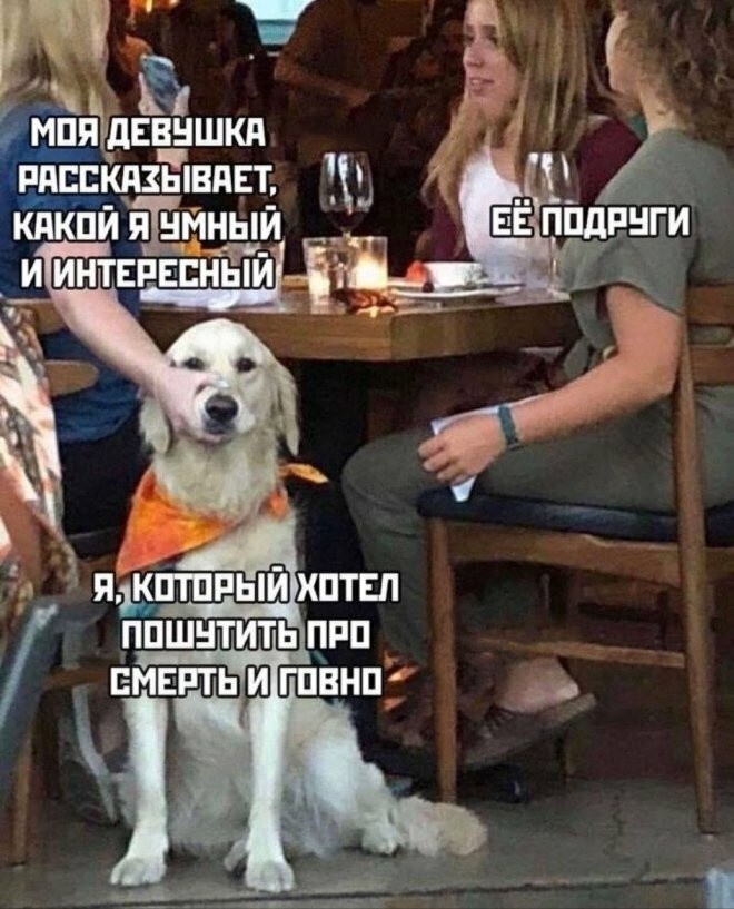 Продолжаем барражировать соцсети