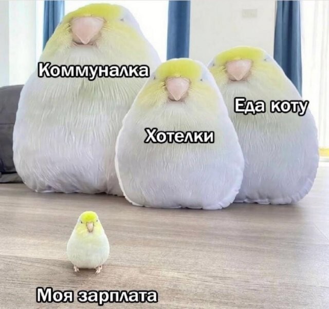 Не ищите здесь смысл. Здесь в основном маразм