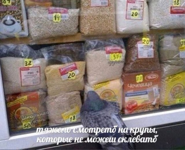 Не ищите здесь смысл. Здесь в основном маразм