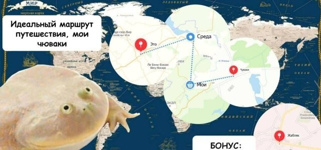 Не ищите здесь смысл. Здесь в основном маразм