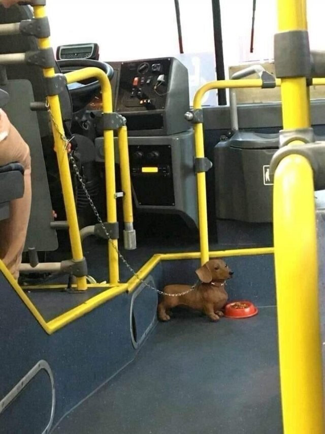 Скрины из соцсетей