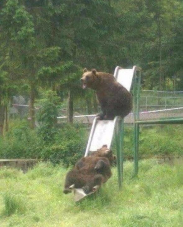 Всё вразнобой 