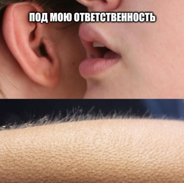 Скрины из соцсетей