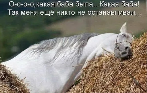 Скрины из соцсетей