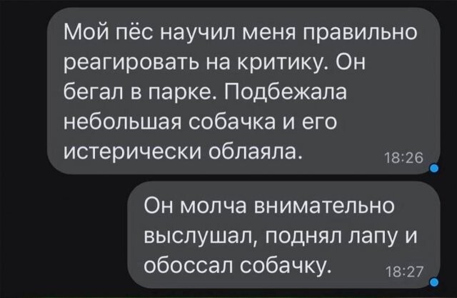 Скрины из соцсетей