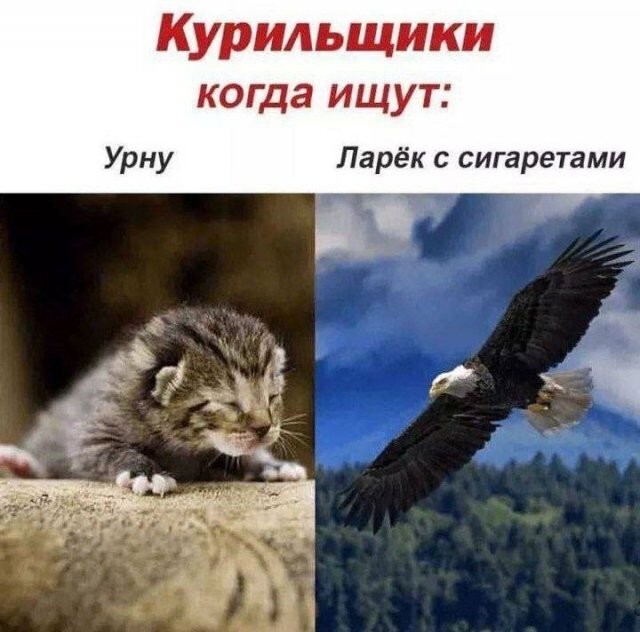 Намешалось