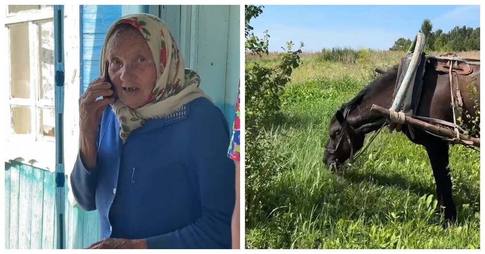 Экспресс-доставка по-деревенски: лошадь вместо курьера