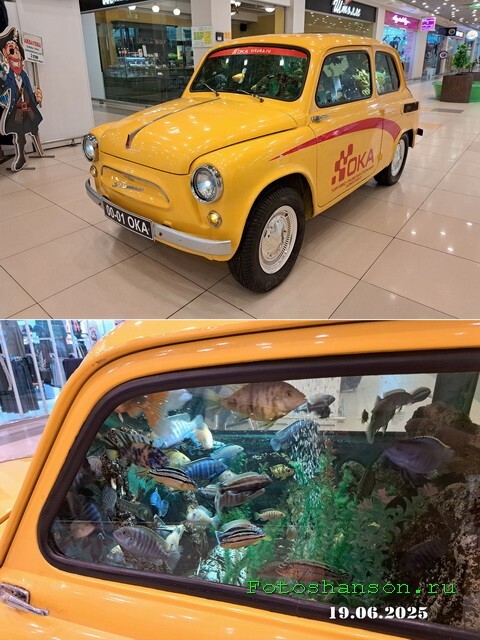 АвтоВсячина