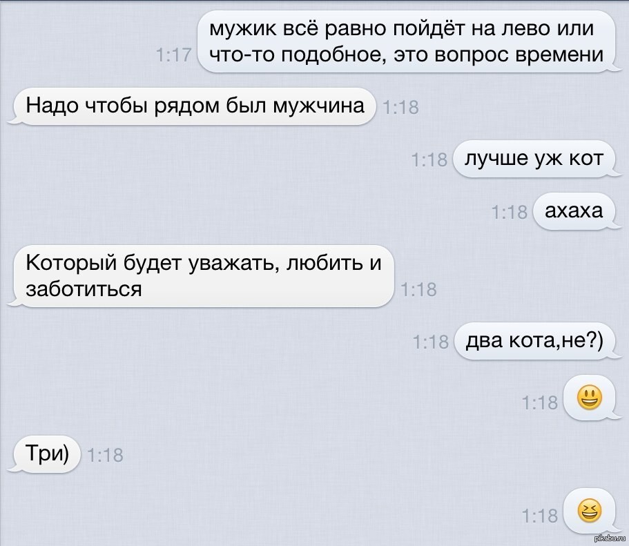 Кошатницы — извращенки с поломанной психикой: чиновник предлагает лимит на питомцев