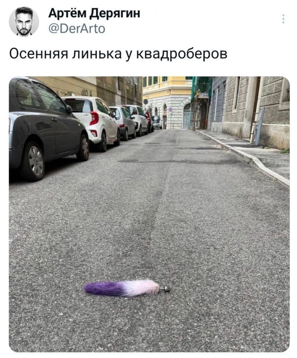 Кошатницы — извращенки с поломанной психикой: чиновник предлагает лимит на питомцев