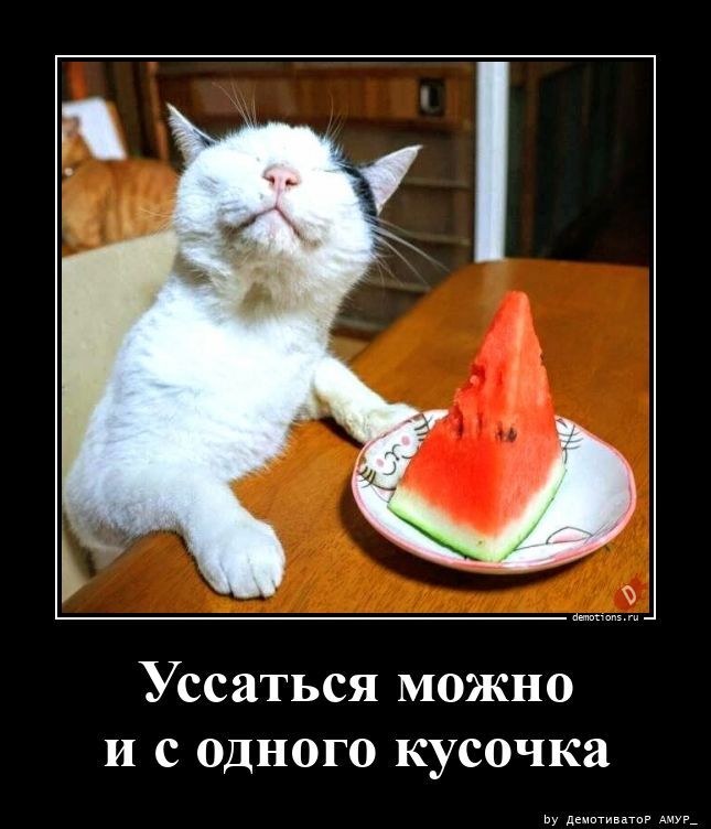 Уссаться можно и с одного кусочка