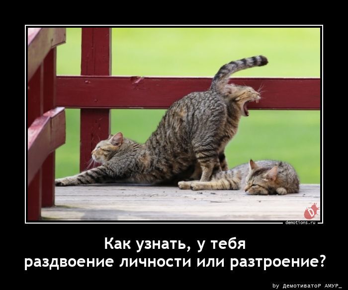 Как узнать, у тебя раздвоение личности или разтроение?