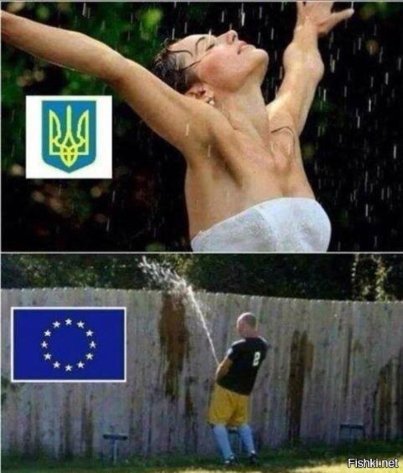 Похоже, что Запад готовится отстранить Зеленского от власти