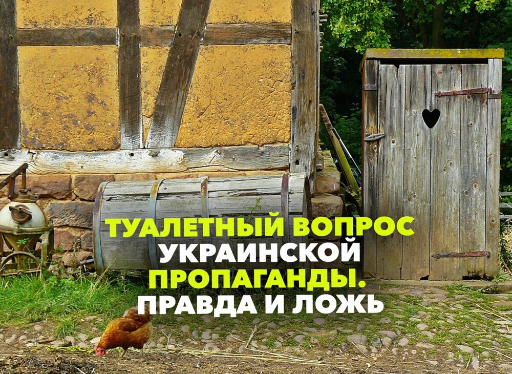 Уличные туалеты у 40%. Сравнение статистики Украины и России по унитазам