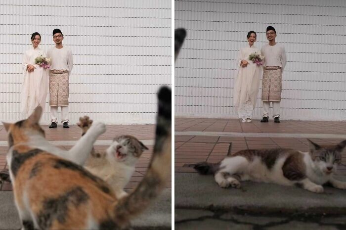 16. Свадебная фотосессия удалась 