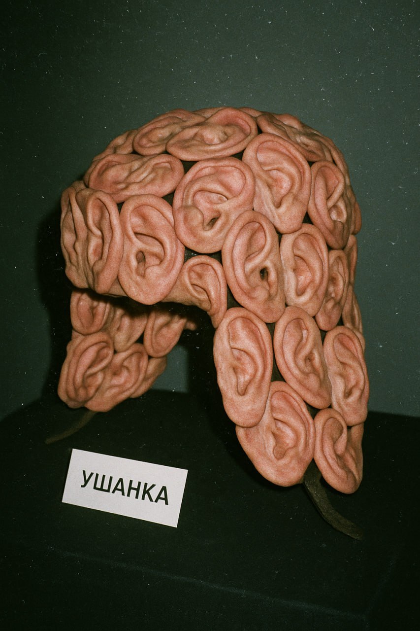 Ушанка