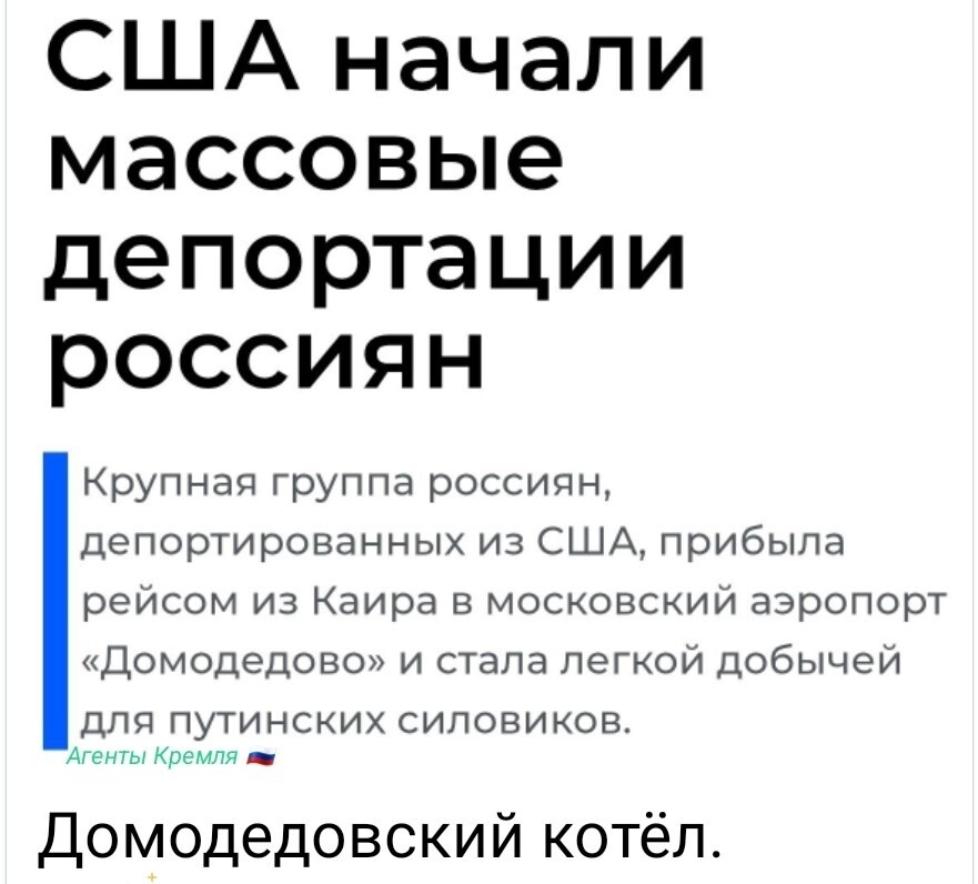 Наши релоканты придумали способ бесплатно вернуться в Россию? 