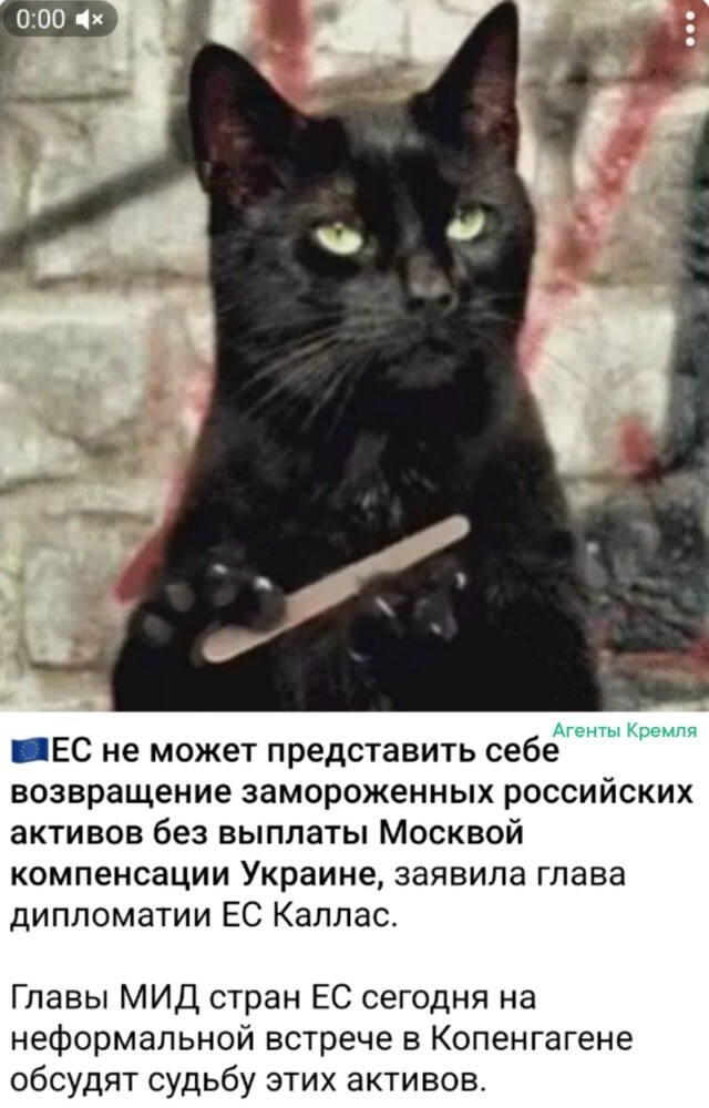 В принципе Гитлер тоже не мог себе представить поражение Вермахта от Красной Армии, вот и застрелился. Так Каллас на заметочку