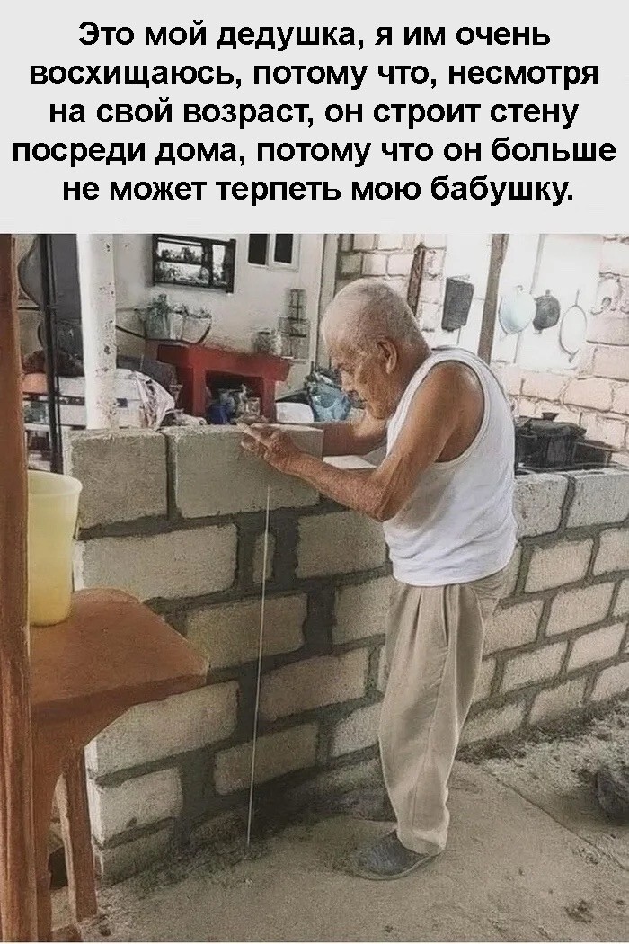 Улыбатор