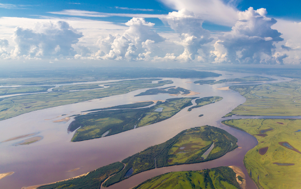 Почему рыба из реки Амур крайне агрессивна в других водоёмах?