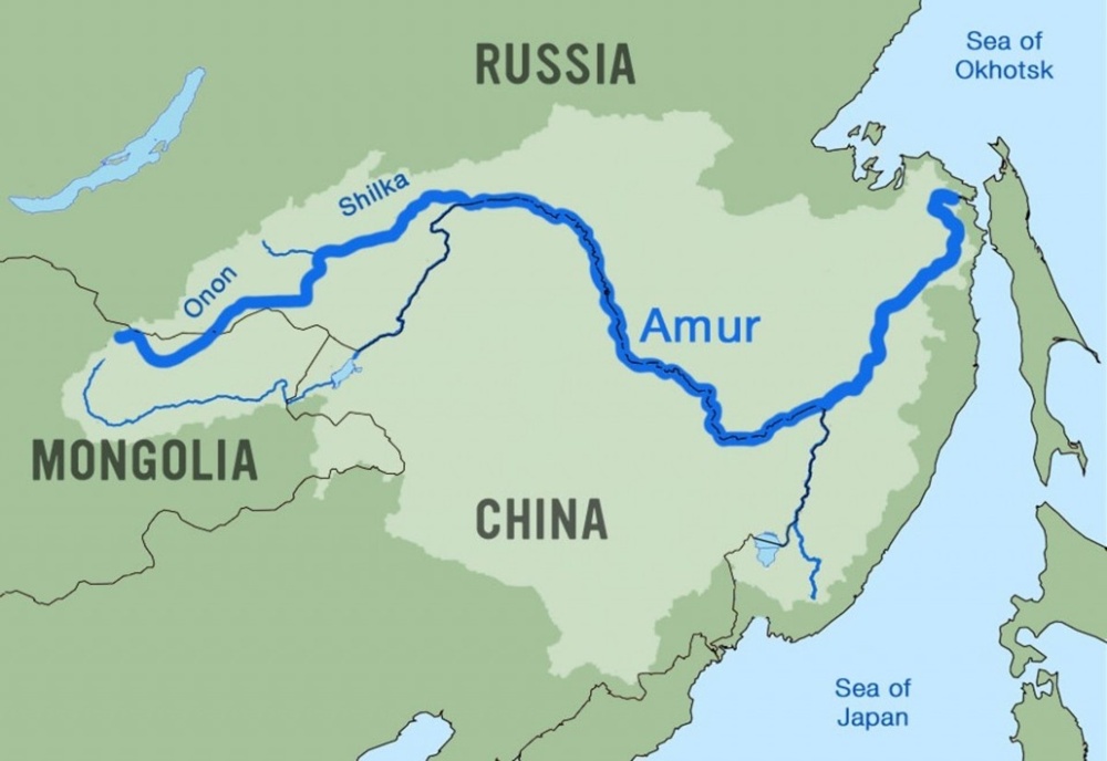 Почему рыба из реки Амур крайне агрессивна в других водоёмах?