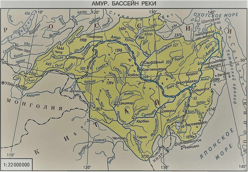 Почему рыба из реки Амур крайне агрессивна в других водоёмах?