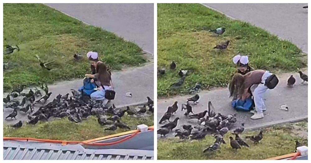 Девочки унесли двух голубей в рюкзаке