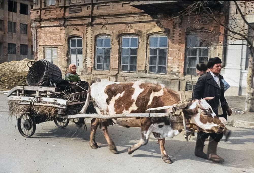 Фронт и тыл Великой Отечественной Войны на снимках