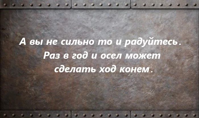 Вице-адмирал Радзевский. Высказывания