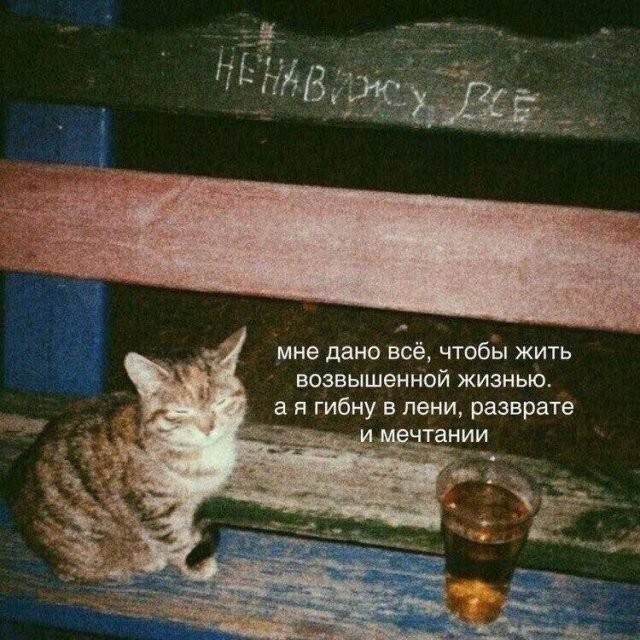 Скрины из соцсетей