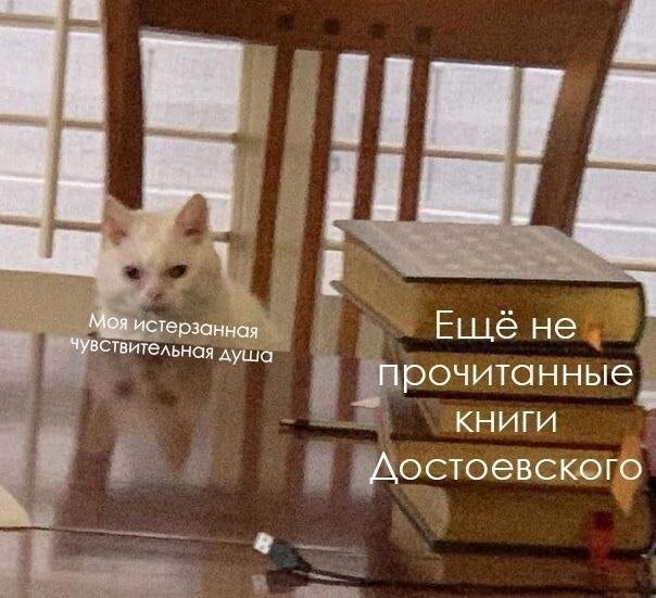 Скрины из соцсетей