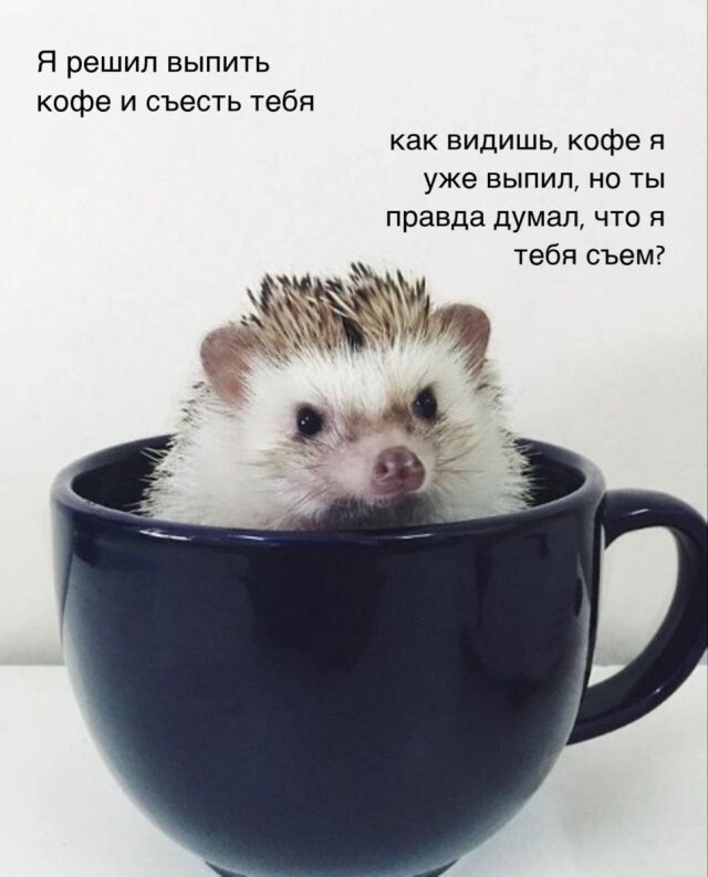 Скрины из соцсетей