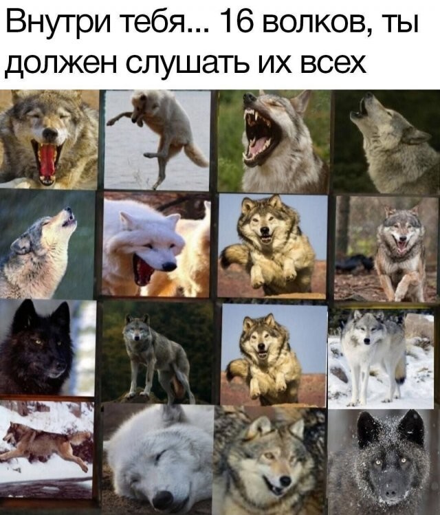Скрины из соцсетей