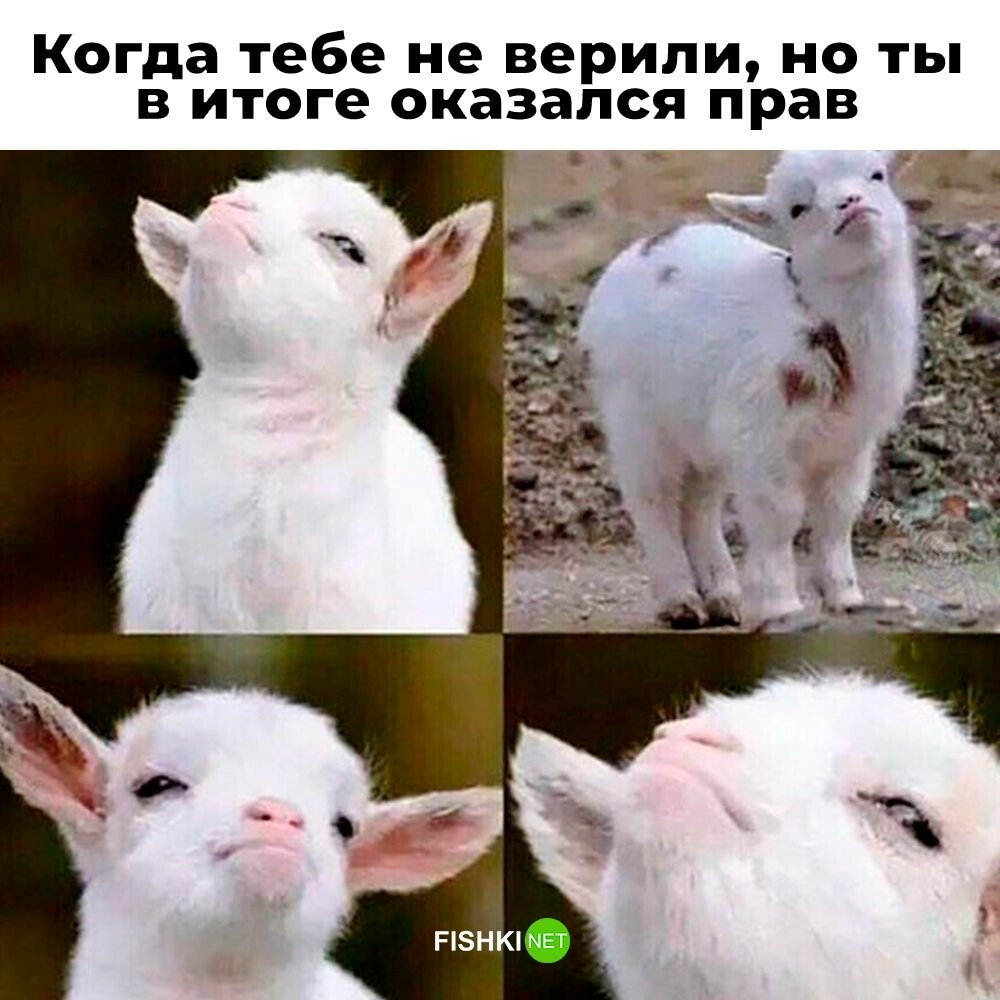 Скрины из соцсетей