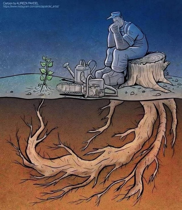 Картинки со смыслом 