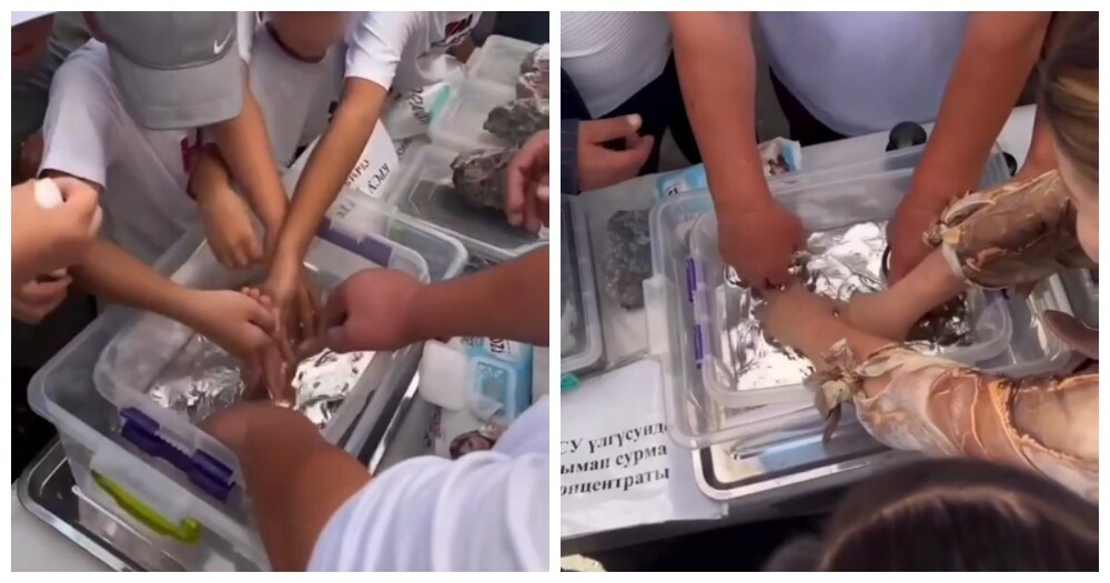 В Кыргызстане людям разрешили потрогать руками ртуть