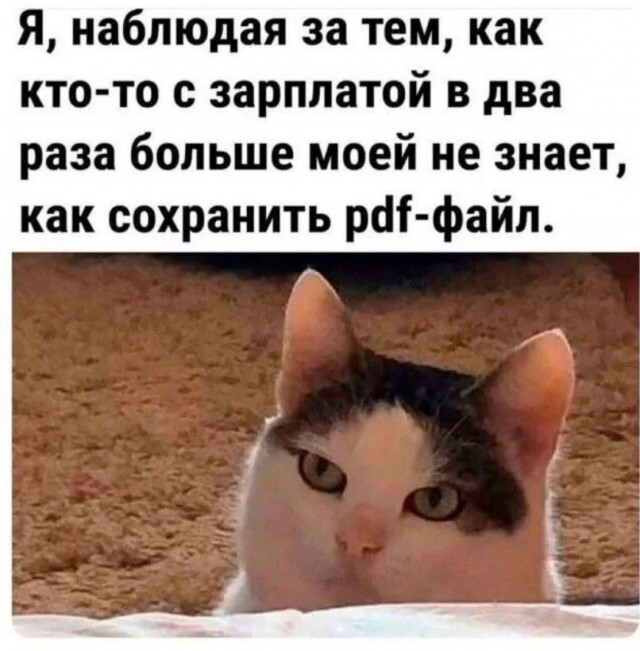 Не ищите здесь смысл. Здесь в основном маразм