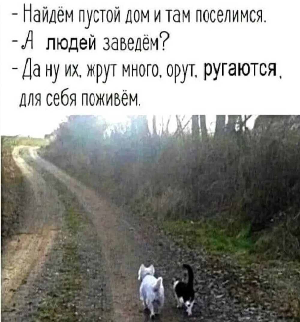 Большая тарелка улыбатора