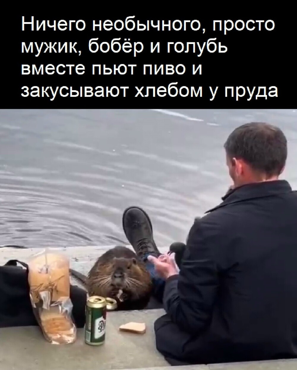 Большая тарелка улыбатора