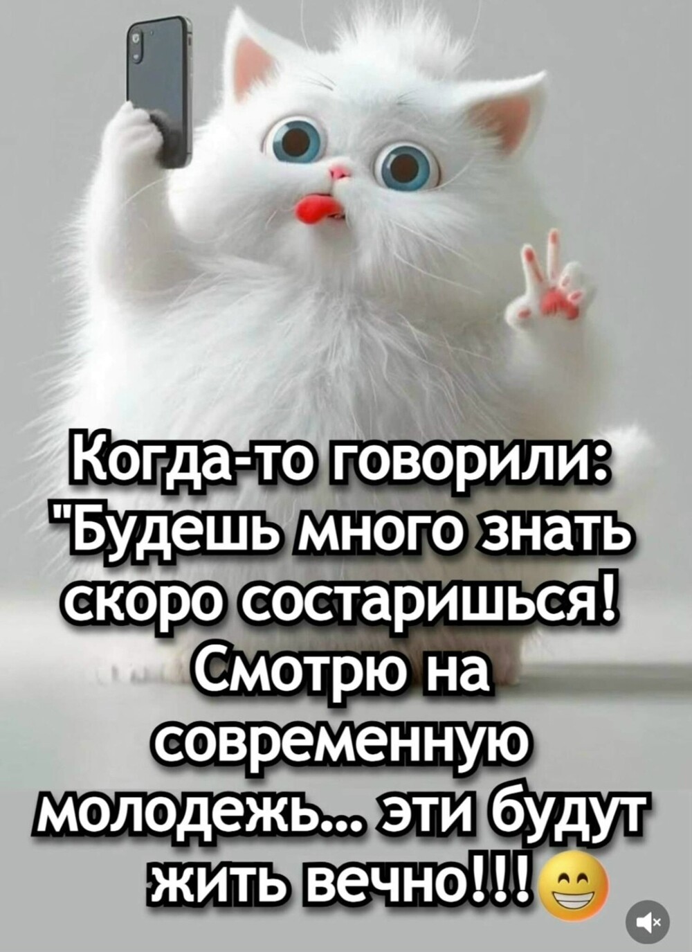 Большая тарелка улыбатора