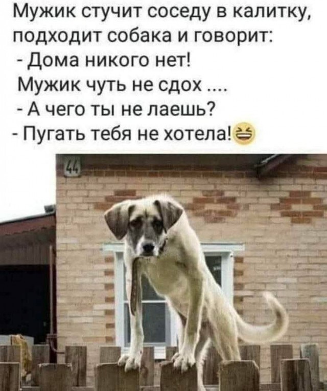 Большая тарелка улыбатора
