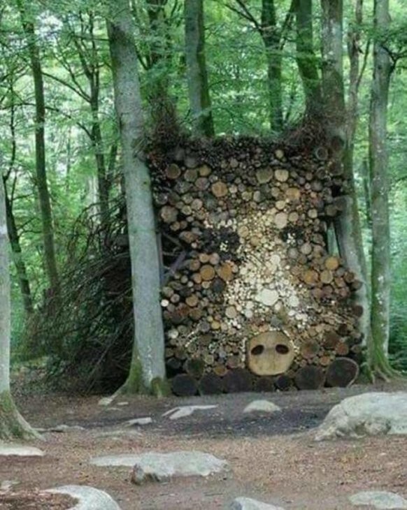 Всё вразнобой 