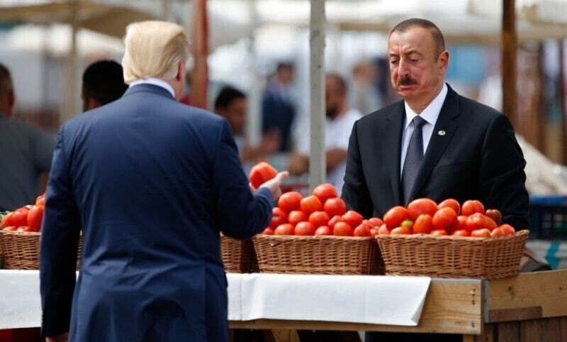 ПО САМЫЕ ПОМИДОРЫ...