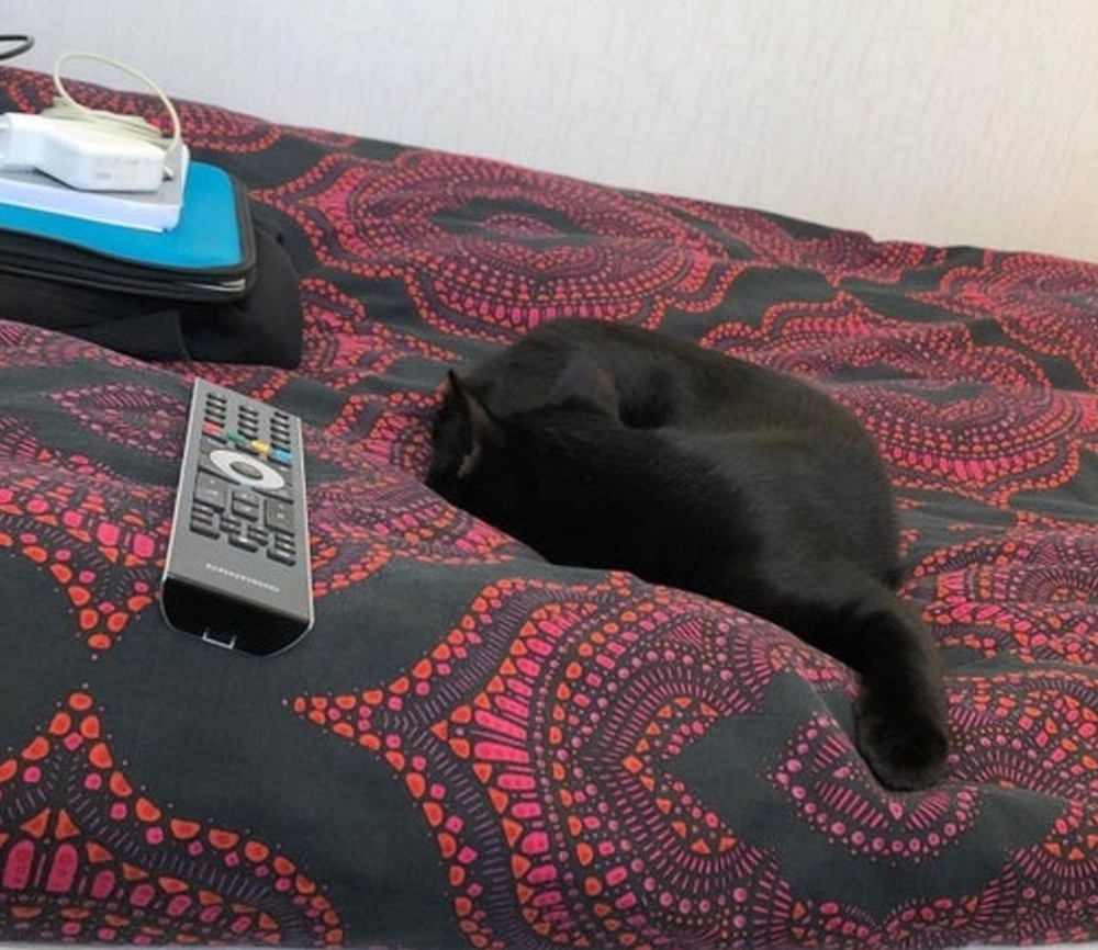 18 картинок, которые выглядят как фотошоп, но это настоящие фото!